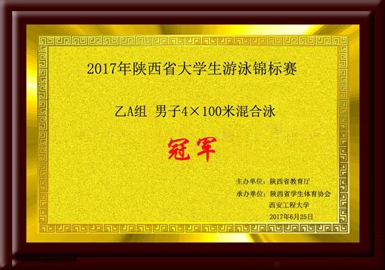 2017年陕西省老员工游泳锦标赛乙A组男子4×100米混合泳.jpg